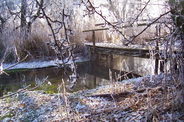 Bild 024.jpg - Winter im Naturschutzgebiet Taubergießen beim Europa-Park Rust